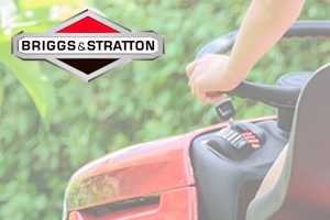 Briggs & Stratton Find model & varenummer